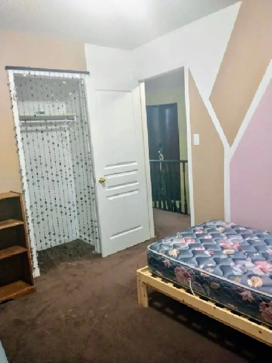 Room for rent in Newmarket Image# 1