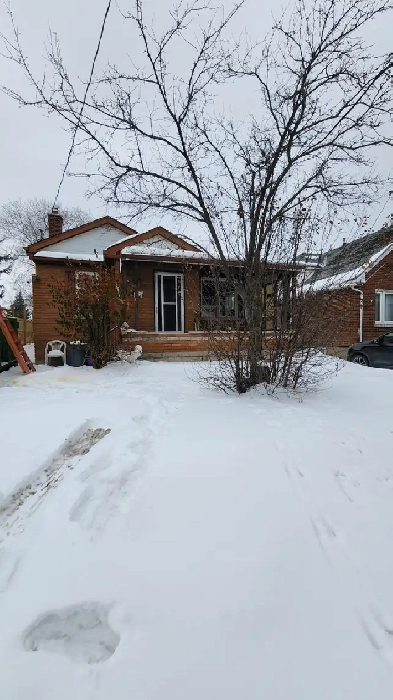 House for rent Image# 1