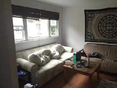 2 BEDROOM APARTMENT PRIME LOCATION Image# 7