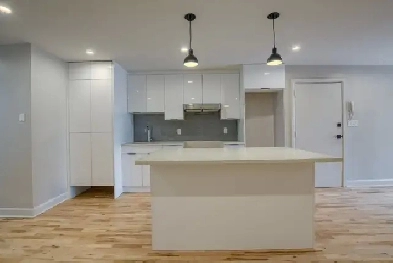 Appartement 3 1/2 entièrement rénové à Rosemont Image# 1