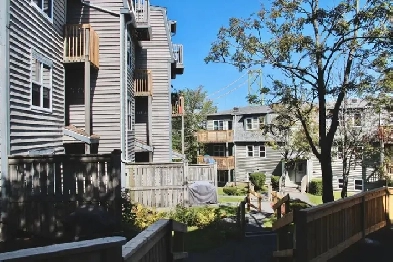 North Mews Apts & Townhouses Image# 7