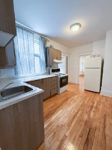 Mile End 5 1/2 ,5.5, a louer, for rent, condo, mcgill, chambres Image# 1