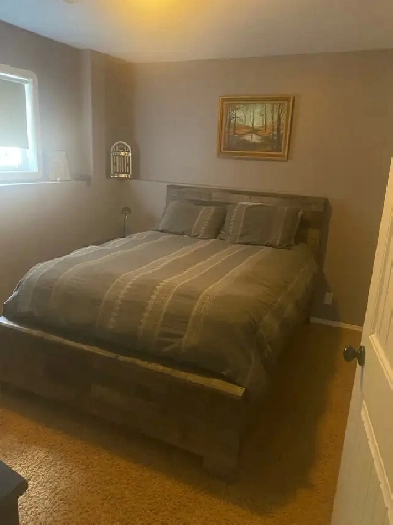 roommate wanted Image# 1