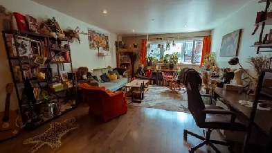chambre à louer , plateau, très bien située ! Image# 5