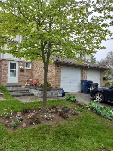 Clean quiet non party home in Scarboro. 24 hr bus at door. Image# 2