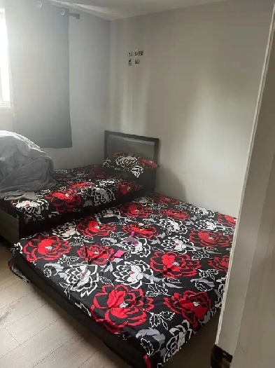 room for rent Image# 1