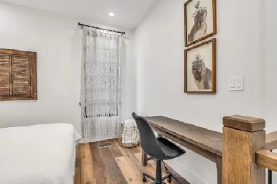 1 Bedroom Apartment in Harbord Village Image# 1