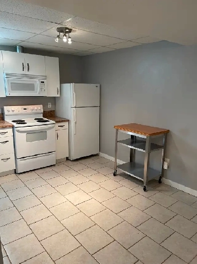 NorthShore 1 Bedroom   Den basement suite available July 1st Image# 1