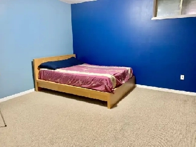 Private room for rent $750/month, lower level, shared amenties Image# 4