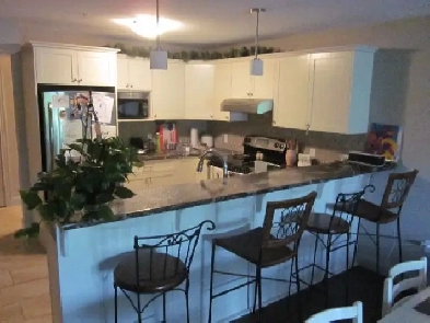 490 Regent St., Avail. July 1, No Students, Adult Building Only Image# 3