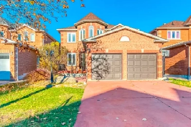 Huge basement over 1500sqfts near UTM Dundas/ErinMillsPkwy Image# 1