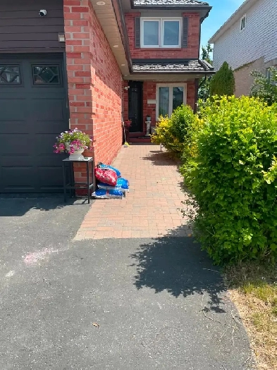 Legal Basement Apt 1 Bedroom   1 Bath in Prime Area of Pickering Image# 1