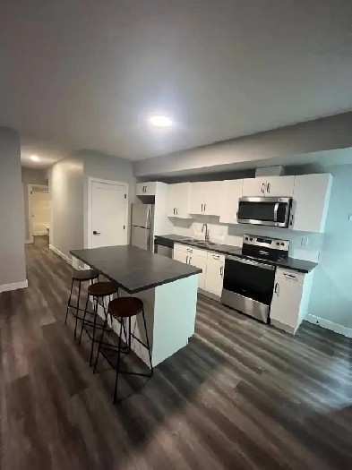 2 bed 1 bath basement suite in batchelor heights Image# 1
