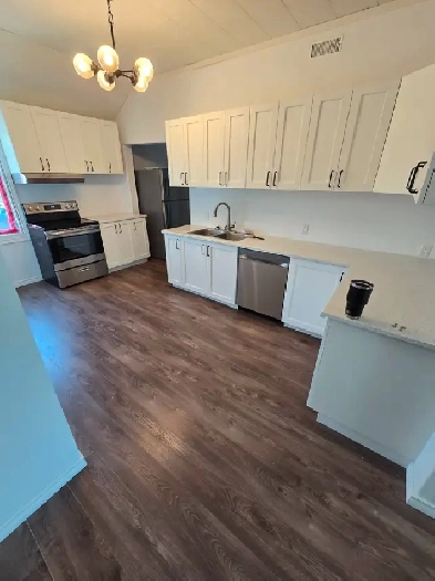 Newly Renovated 2 BR House in Belleville Image# 3