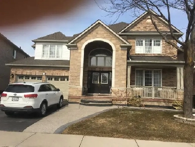 1 bedroom legal basement – Brampton East Image# 1