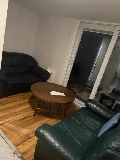 One room available in a newly renovated walkout basement Image# 3