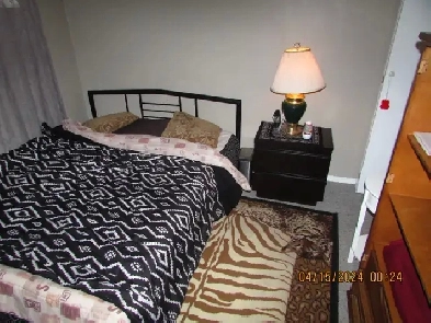 Room For Rent Image# 2