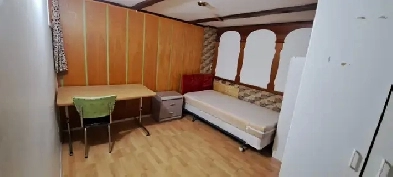 Yonge & Steeles Basement Room Image# 1