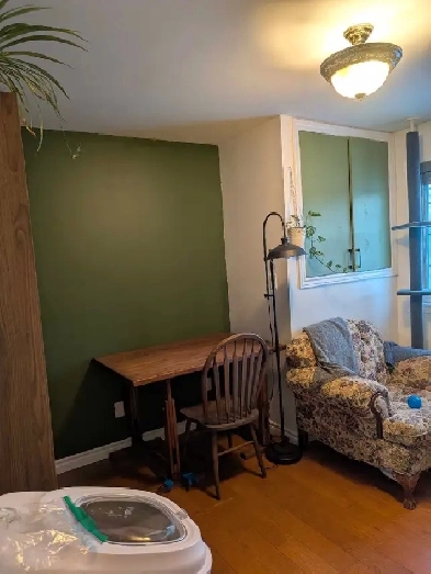 roommate wanted! pool, bbq, 2 decks! All inclusive Image# 2