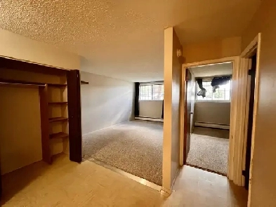 Spacious 1 bedroom 1 bath apartment close to Mayfield Common Image# 5