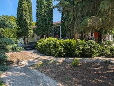 38.71 acres with House Image# 8