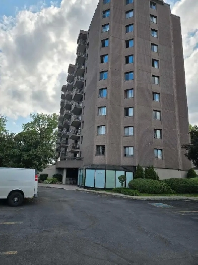 One bedroom cando apart, 1 for rent. Image# 3