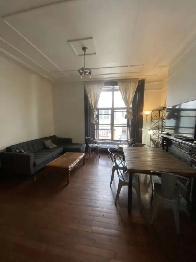 McGill Ghetto 2 bedrooms 1 bathroom appartement. Image# 2