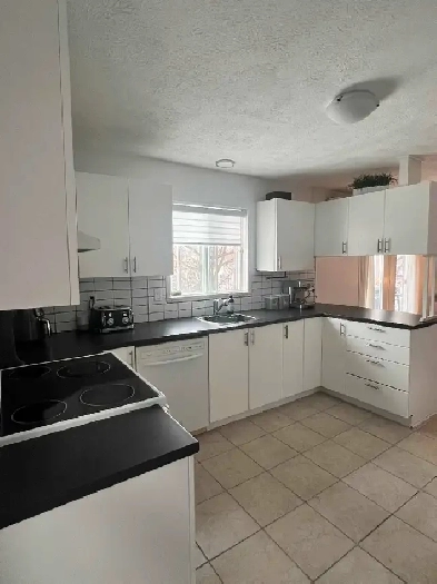 4 1/2, Rénové, Lumineux Fleurimont Image# 1