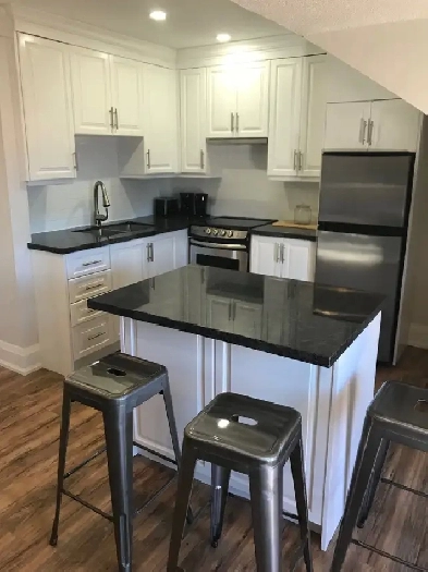 1 BD Plus Den Furnished King and Dufferin Image# 3