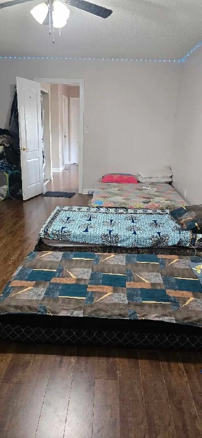 1 Bed 1 Bath - House Image# 5