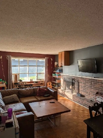 Roommate wanted! Image# 4