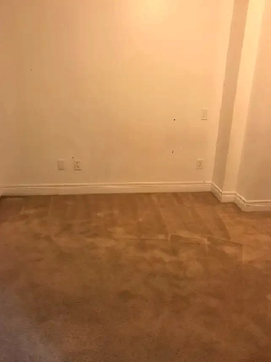 Room for rent in York University Image# 4