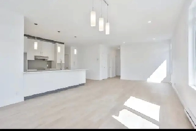 Appartement style condo 5 1/2 à louer Image# 3