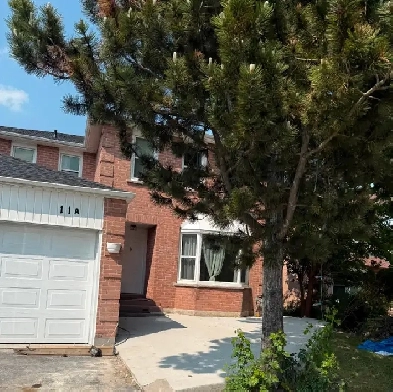 New 3BR legal bsmt apartment for rent Image# 6