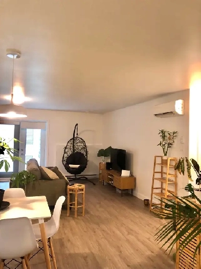 Appartement à louer - Très grand 3 1/2 à Sherbrooke Image# 2