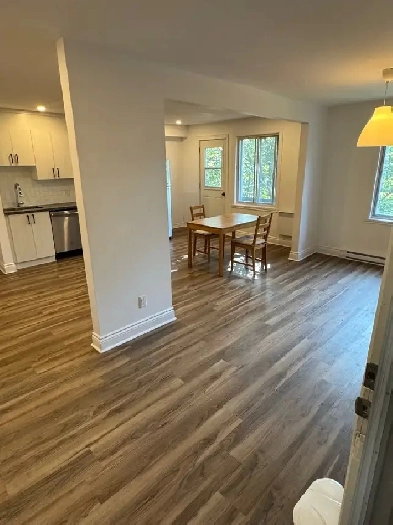 3 Bedroom Apartment plus living room with 2 balconies Image# 10