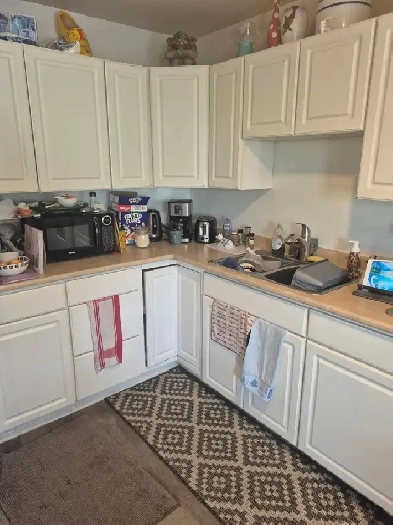 main floor for rent in kingston Image# 1