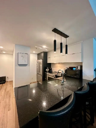 Appartement 3 1/2 Maguire Image# 4