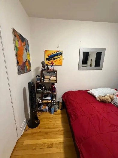 Looking for roommate! Buscando compañero de departamento ! Image# 3