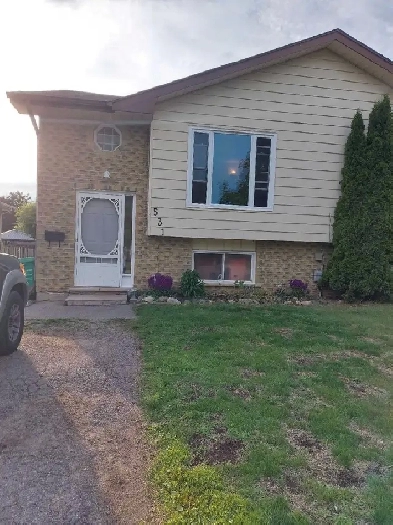 Available now   1 Bedroom   Den   All  inclusive Image# 1