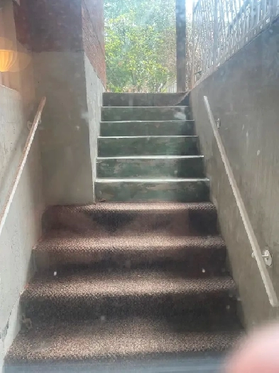 Excellent location basement in Mississauga 1bedroom   family Den Image# 1