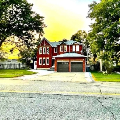 2 Bedroom Basement For Rent Image# 3