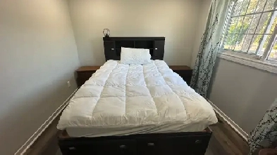 1 fully furnished bedroom available on rent for 1 person only Image# 1