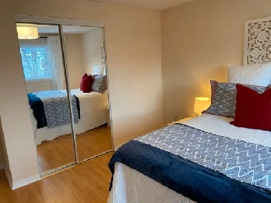 Room available to rent near Sheridan College for a Girl Image# 1