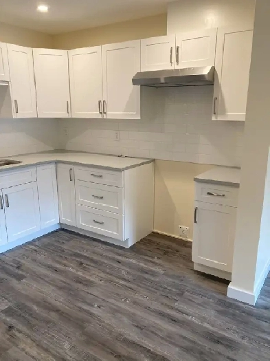 Newer, two bedroom one bathroom apartment for rent Image# 9