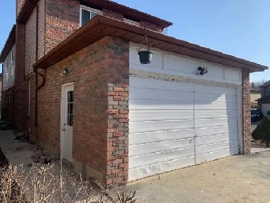 Three bedroom legal basement for rent Image# 9