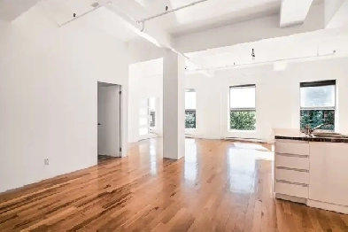 SUNNY 2BR LOFT 1200SF corner unit in former Post Office-LOFT 2CH Image# 3