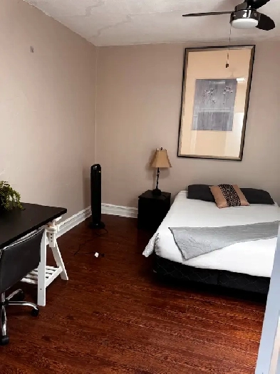 colocation 3 étudiants - chambres équipées Image# 1