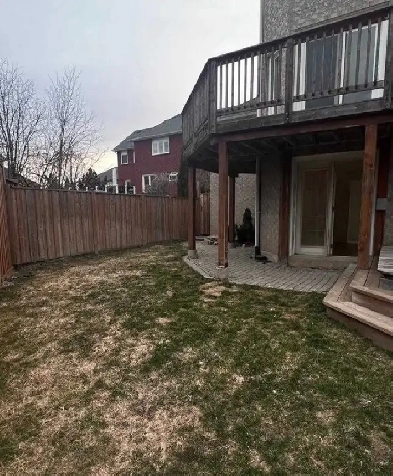 2 bedroom 2 bathroom walkout basement ground floor mississauga Image# 1