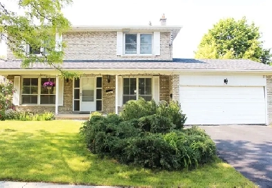 Location!North York (4 2)Bedrooms Basement whole House for rent Image# 9